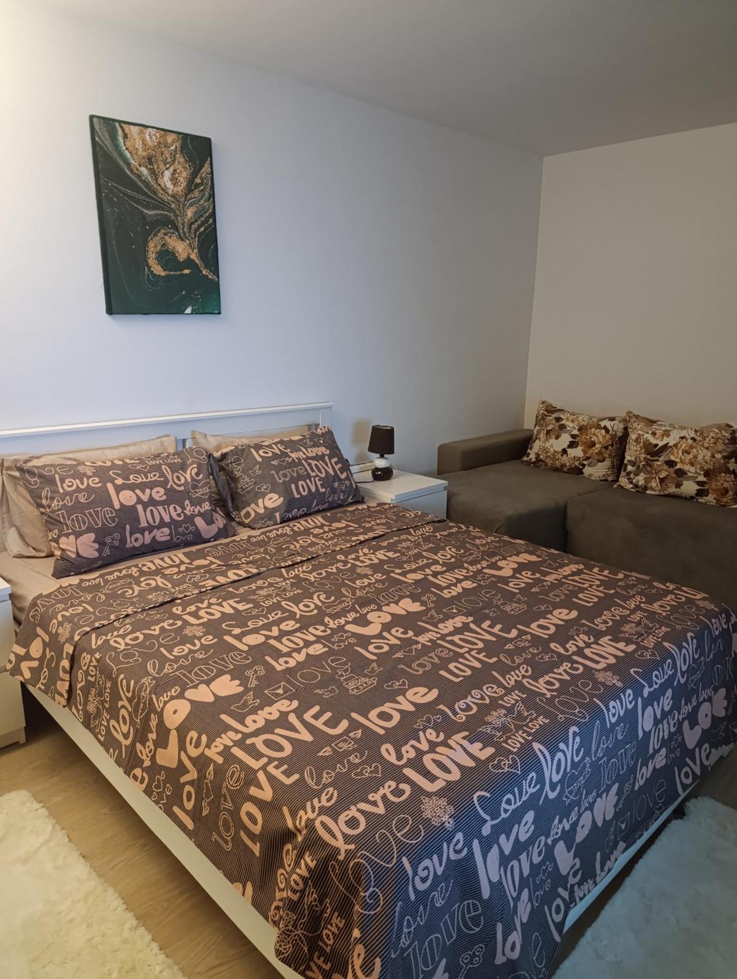 Garsoniera Rebecca Apartment Tirgu Ocna Exterior photo
